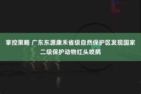 掌控策略 广东东源康禾省级自然保护区发现国家二级保护动物红头咬鹃