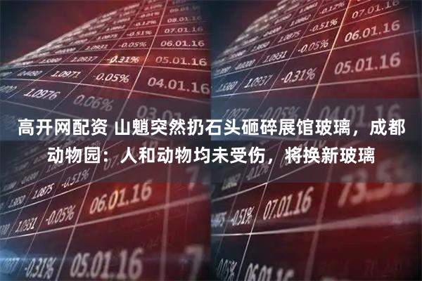 高开网配资 山魈突然扔石头砸碎展馆玻璃，成都动物园：人和动物均未受伤，将换新玻璃