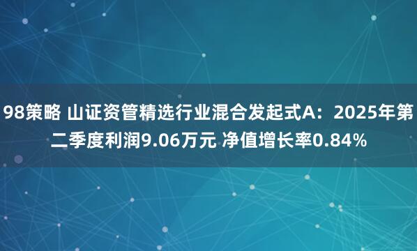 98策略 山证资管精选行业混合发起式A：2025年第二季度利润9.06万元 净值增长率0.84%
