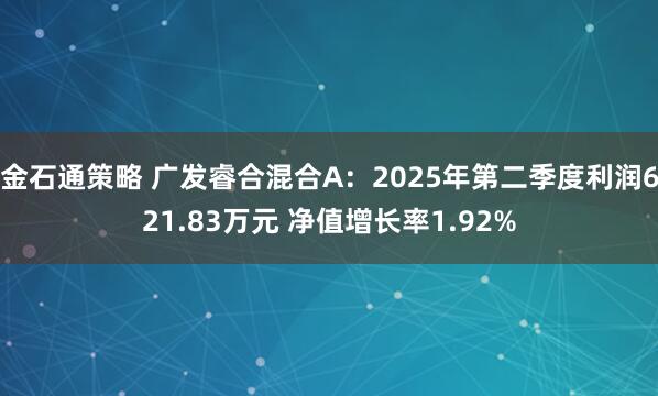 金石通策略 广发睿合混合A：2025年第二季度利润621.83万元 净值增长率1.92%