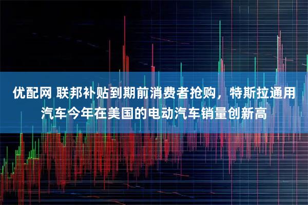 优配网 联邦补贴到期前消费者抢购，特斯拉通用汽车今年在美国的电动汽车销量创新高