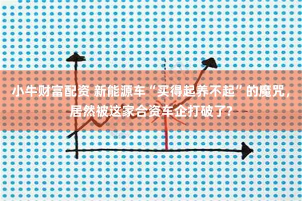 小牛财富配资 新能源车“买得起养不起”的魔咒，居然被这家合资车企打破了?